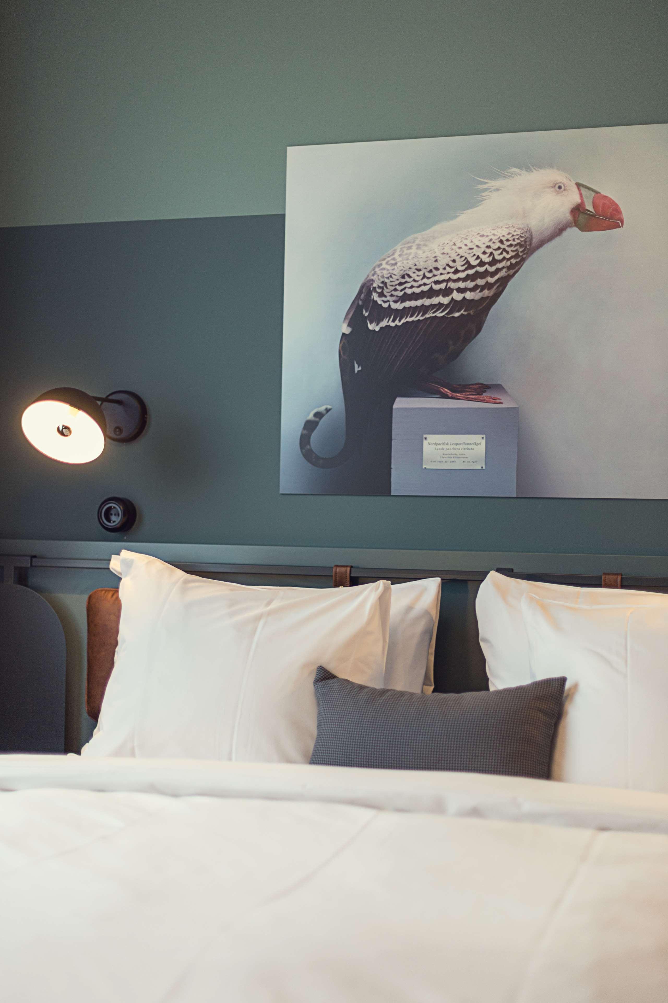 Best Western Plus Fort Worth Forest Hill Inn & Suites Buitenkant foto