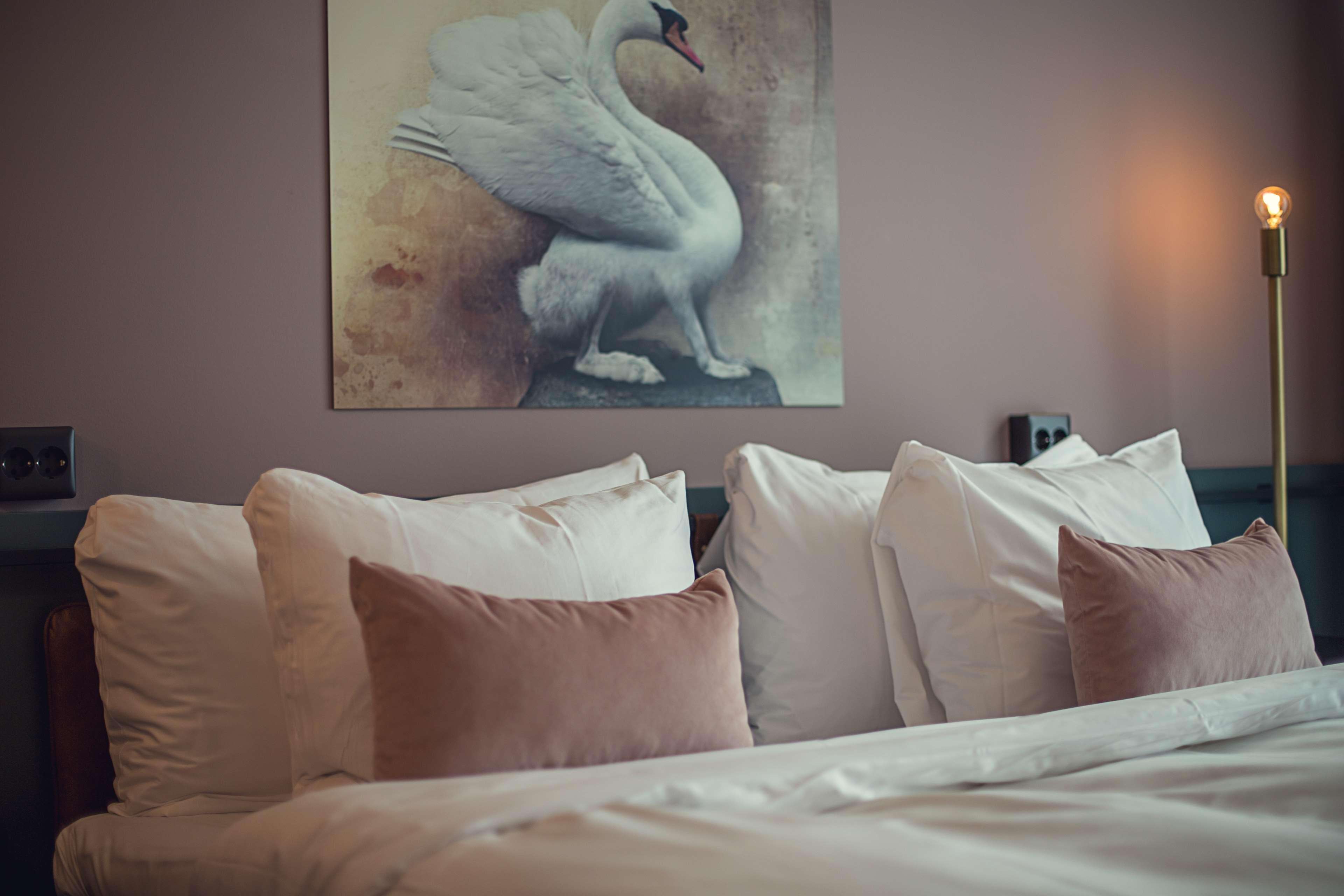 Best Western Plus Fort Worth Forest Hill Inn & Suites Buitenkant foto