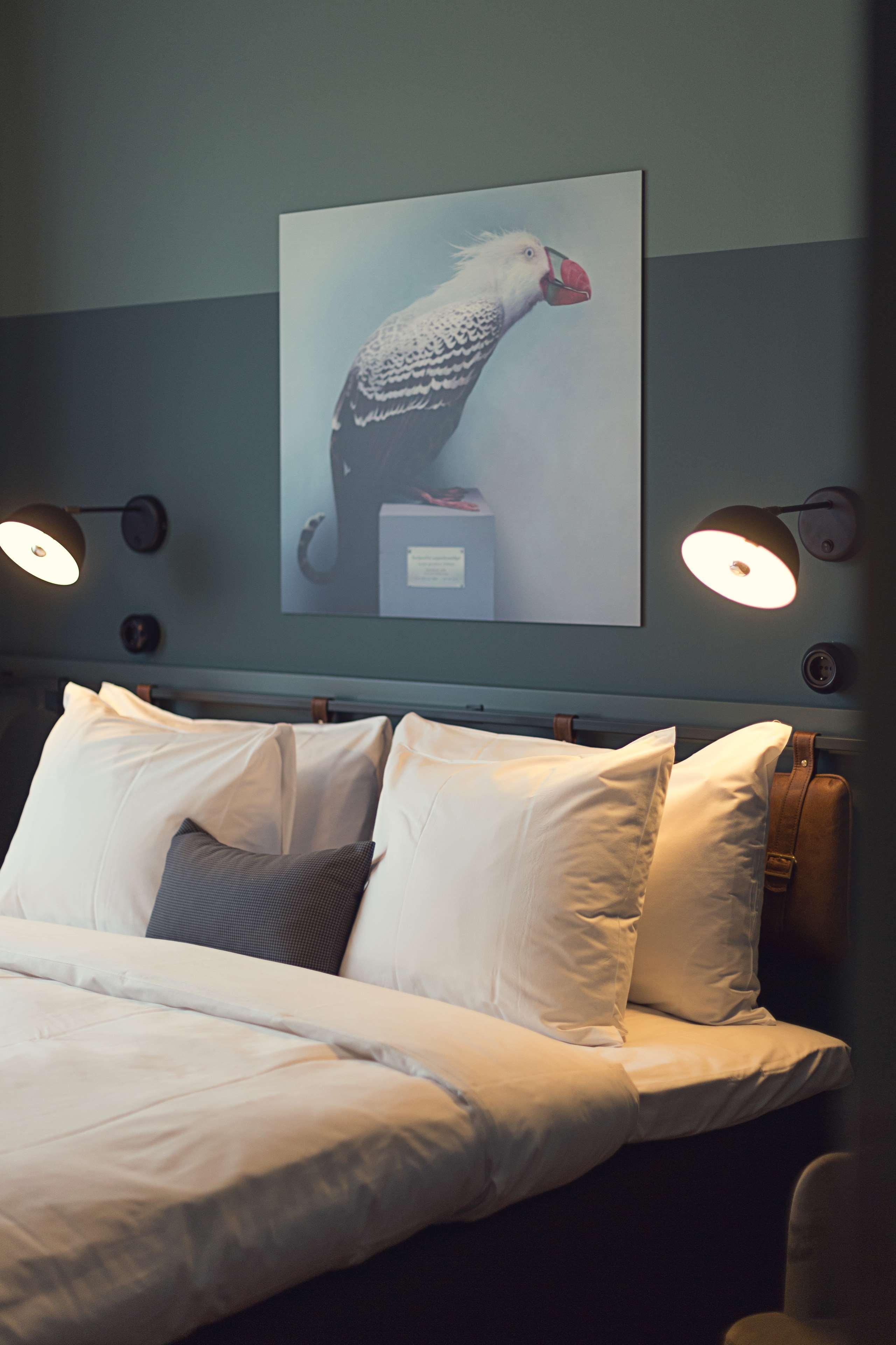 Best Western Plus Fort Worth Forest Hill Inn & Suites Buitenkant foto